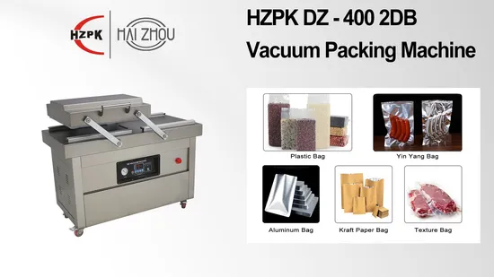 Food Automatic Vacuum Packing Machine (DZ-400)