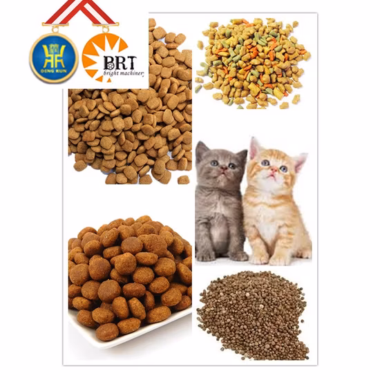 China Factory Animal Pet Dog Cat Floating Fish Feed Pellet Production Machine Snacks Food Processing Making Extrusion Line